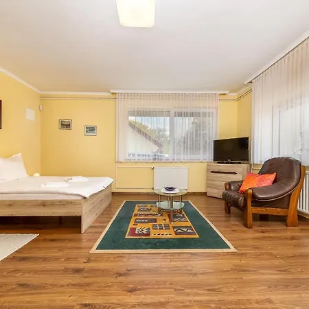 Agi 切尔塞格托毛伊