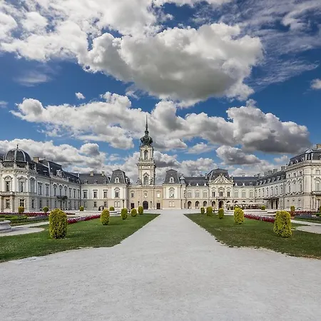 Agi 切尔塞格托毛伊